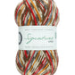 West Yorkshire Spinners Signature 4ply (Country Birds) - 100g