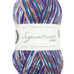 West Yorkshire Spinners Signature 4ply (Country Birds) - 100g