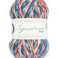 West Yorkshire Spinners Signature 4ply (Country Birds) - 100g