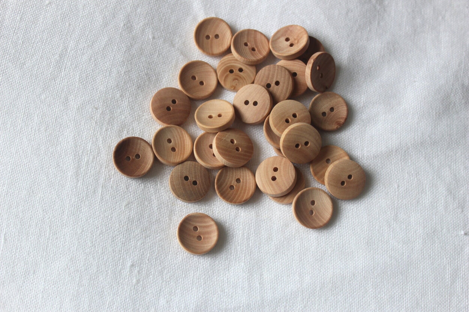 camellia wood concave button 15mm 3