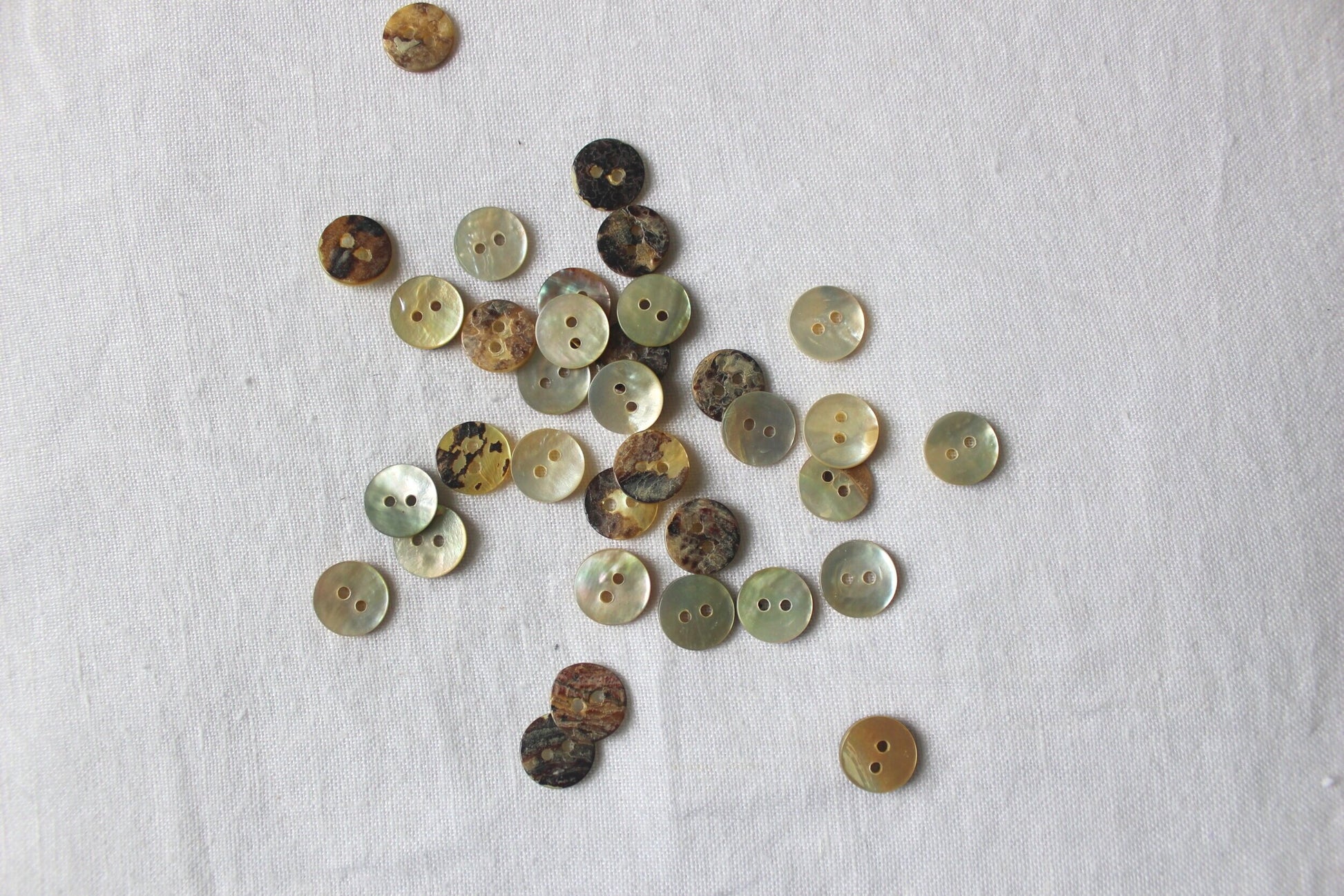 mother of pearl button various sizes 4