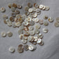 flat white shell button 15mm