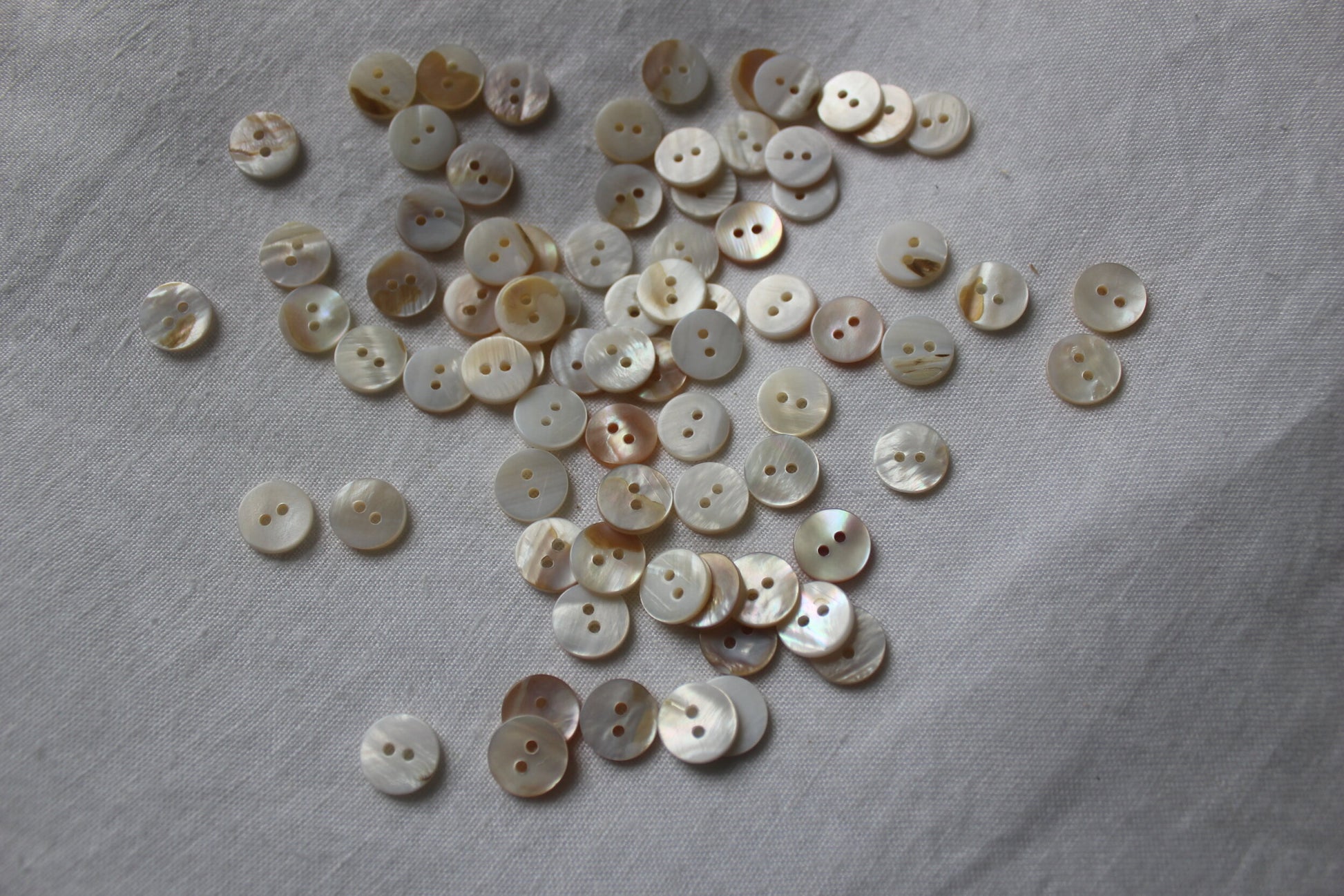 flat white shell button 15mm