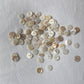 flat white shell button 12mm