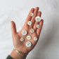 flat white shell button 